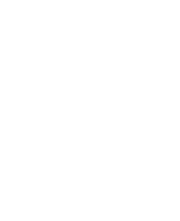 logo roda